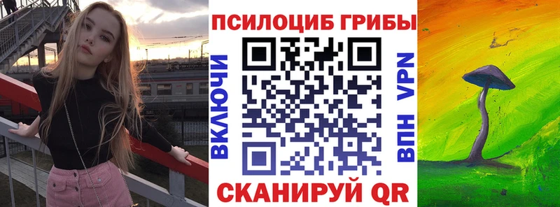 Псилоцибиновые грибы ЛСД  где купить наркотик  Себеж 